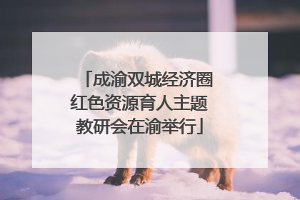 成渝双城经济圈红色资源育人主题教研会在渝举行