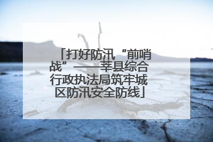打好防汛“前哨战”——莘县综合行政执法局筑牢城区防汛安全防线