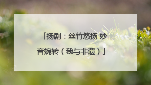 扬剧：丝竹悠扬 妙音婉转（我与非遗）