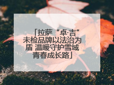 拉萨“卓·吉”未检品牌以法治为盾 温暖守护雪域青春成长路