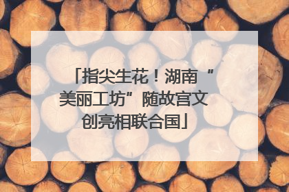 指尖生花！湖南“美丽工坊”随故宫文创亮相联合国