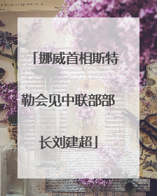 挪威首相斯特勒会见中联部部长刘建超