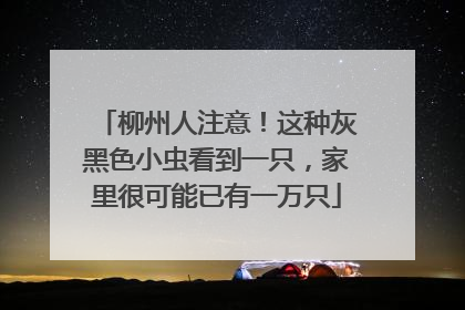 柳州人注意！这种灰黑色小虫看到一只，家里很可能已有一万只