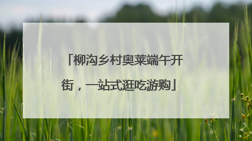 柳沟乡村奥莱端午开街，一站式逛吃游购