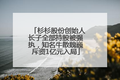杉杉股份创始人长子全部持股被强执，知名牛散魏巍斥资1亿元入局