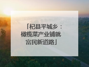 杞县平城乡：橄榄菜产业铺就富民新道路
