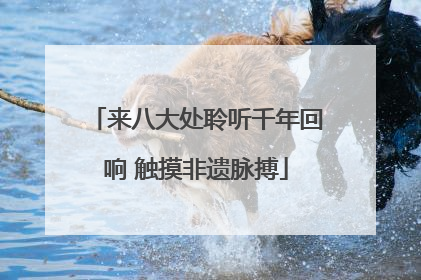 来八大处聆听千年回响 触摸非遗脉搏