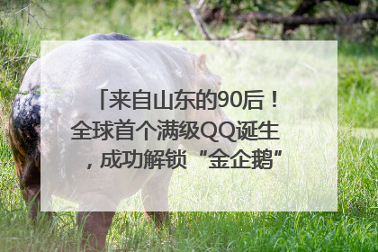 来自山东的90后！全球首个满级QQ诞生，成功解锁“金企鹅”，是继承父亲账号