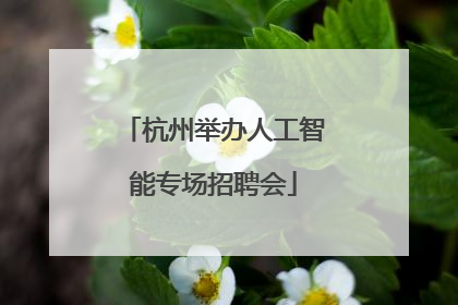 杭州举办人工智能专场招聘会