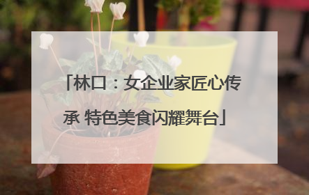 林口：女企业家匠心传承 特色美食闪耀舞台