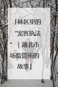 林区里的“宠客执法”｜湖北市场监管所的故事
