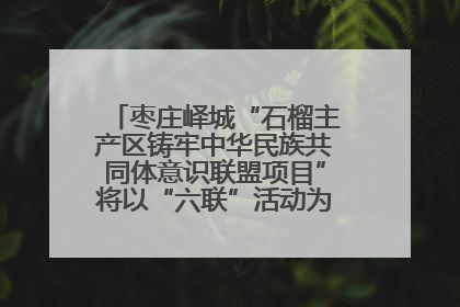 枣庄峄城“石榴主产区铸牢中华民族共同体意识联盟项目”将以“六联”活动为抓手深化品牌建设