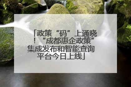 政策“码”上通晓！“成都惠企政策”集成发布和智能查询平台今日上线