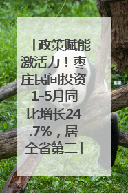 政策赋能激活力！枣庄民间投资1-5月同比增长24.7%，居全省第二