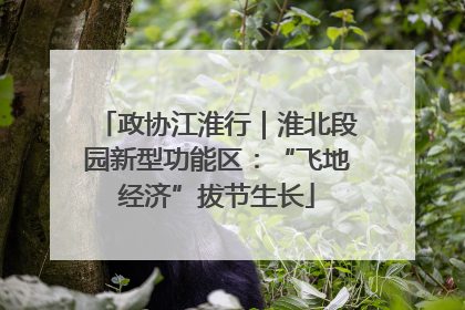 政协江淮行｜淮北段园新型功能区：“飞地经济”拔节生长