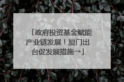 政府投资基金赋能产业链发展！厦门出台促发展措施→