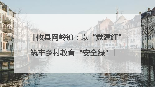 攸县网岭镇：以“党建红”筑牢乡村教育“安全绿”