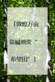 敦煌万亩盐碱地变“希望田”