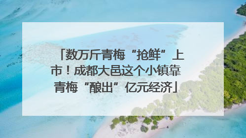 数万斤青梅“抢鲜”上市！成都大邑这个小镇靠青梅“酿出”亿元经济