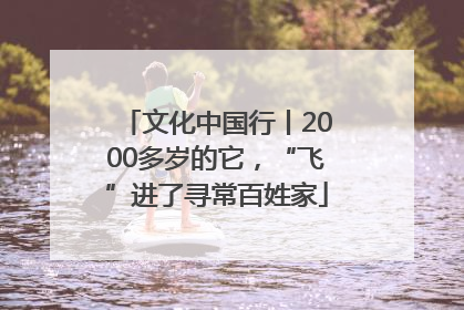 文化中国行丨2000多岁的它，“飞”进了寻常百姓家