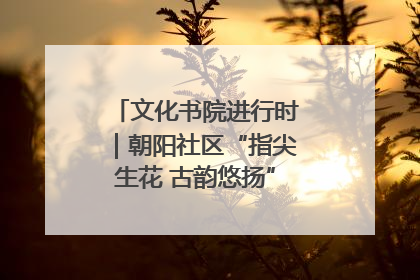 文化书院进行时｜朝阳社区“指尖生花 古韵悠扬”公益课堂开课了
