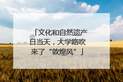 文化和自然遗产日当天，大学路吹来了“敦煌风”