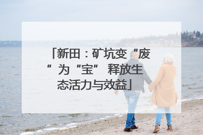 新田：矿坑变“废”为“宝” 释放生态活力与效益