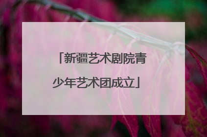 新疆艺术剧院青少年艺术团成立