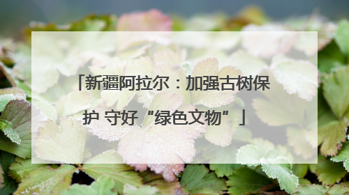 新疆阿拉尔：加强古树保护 守好“绿色文物”