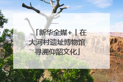 新华全媒+丨在大河村遗址博物馆寻溯仰韶文化