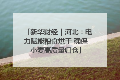 新华财经｜河北：电力赋能粮食烘干 确保小麦高质量归仓