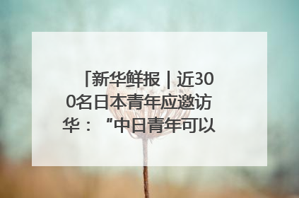 新华鲜报｜近300名日本青年应邀访华：“中日青年可以创造更好的未来”