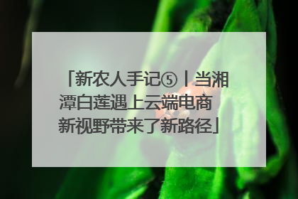新农人手记⑤丨当湘潭白莲遇上云端电商 新视野带来了新路径