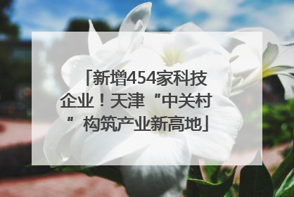 新增454家科技企业！天津“中关村”构筑产业新高地