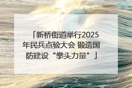 新桥街道举行2025年民兵点验大会 锻造国防建设“拳头力量”