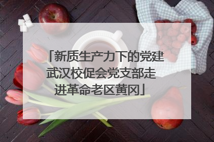 新质生产力下的党建 武汉校促会党支部走进革命老区黄冈