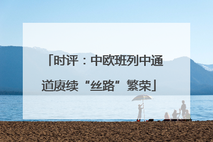 时评：中欧班列中通道赓续“丝路”繁荣