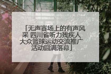 无声赛场上的有声风采 四川省听力残疾人大众篮球运动交流推广活动圆满落幕