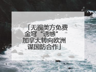 无视美方免费金穹“诱惑” 加拿大转向欧洲谋国防合作
