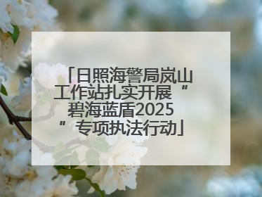 日照海警局岚山工作站扎实开展“碧海蓝盾2025”专项执法行动