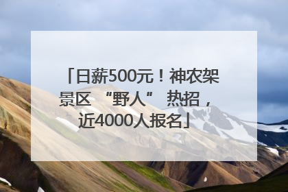 日薪500元！神农架景区 “野人” 热招，近4000人报名