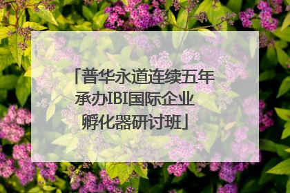 普华永道连续五年承办IBI国际企业孵化器研讨班