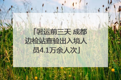 暑运前三天 成都边检站查验出入境人员4.1万余人次