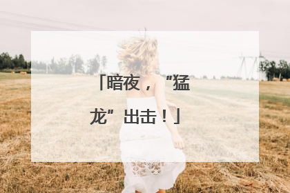 暗夜，“猛龙”出击！