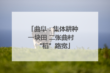 曲阜：集体耕种一块田 二张曲村“稻”路宽