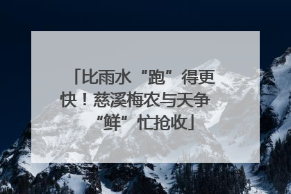 比雨水“跑”得更快！慈溪梅农与天争“鲜”忙抢收