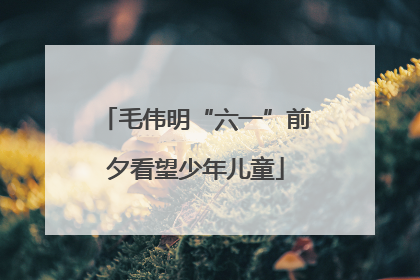 毛伟明“六一”前夕看望少年儿童