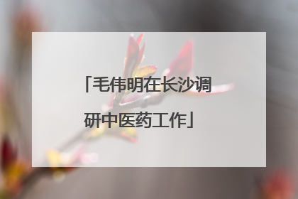 毛伟明在长沙调研中医药工作
