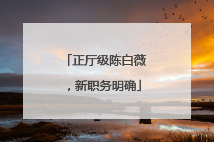 正厅级陈白薇，新职务明确