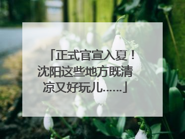 正式官宣入夏！沈阳这些地方既清凉又好玩儿……